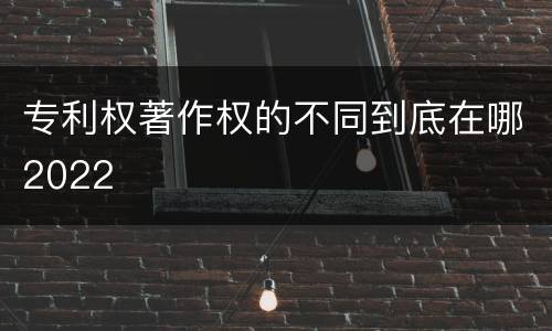专利权著作权的不同到底在哪2022