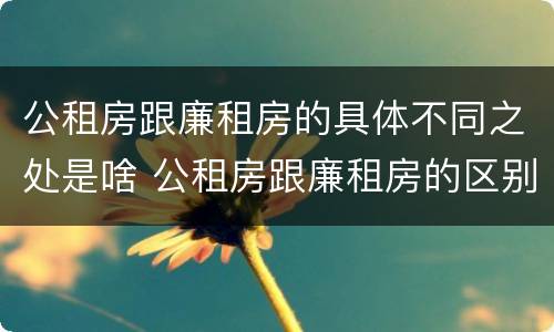 公租房跟廉租房的具体不同之处是啥 公租房跟廉租房的区别在哪里