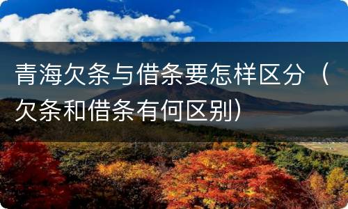 青海欠条与借条要怎样区分（欠条和借条有何区别）