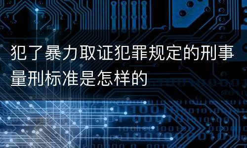 犯了暴力取证犯罪规定的刑事量刑标准是怎样的