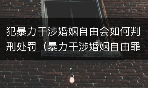 犯暴力干涉婚姻自由会如何判刑处罚（暴力干涉婚姻自由罪的构成要件）