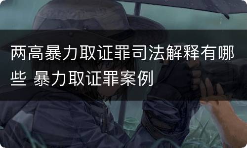 两高暴力取证罪司法解释有哪些 暴力取证罪案例