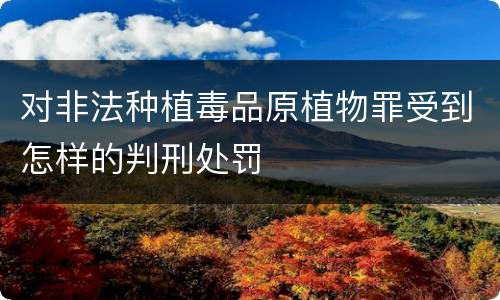 对非法种植毒品原植物罪受到怎样的判刑处罚
