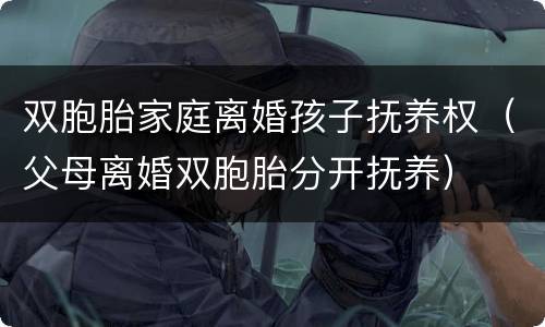 双胞胎家庭离婚孩子抚养权（父母离婚双胞胎分开抚养）