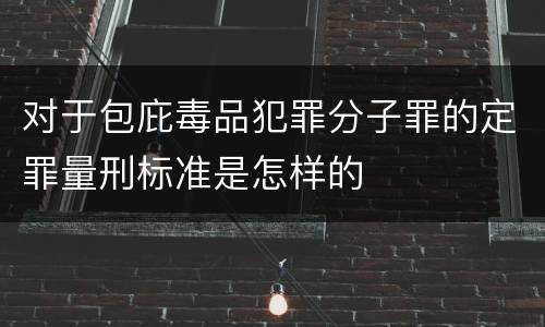 对于包庇毒品犯罪分子罪的定罪量刑标准是怎样的