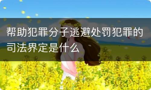 帮助犯罪分子逃避处罚犯罪的司法界定是什么