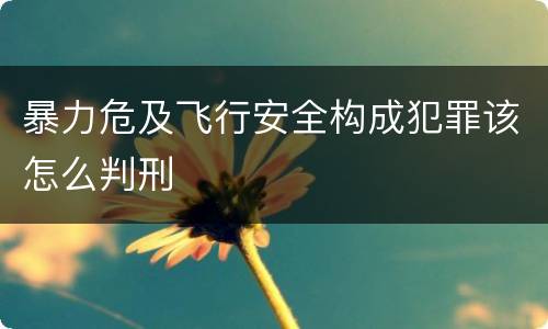 暴力危及飞行安全构成犯罪该怎么判刑