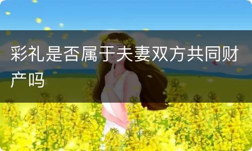 彩礼是否属于夫妻双方共同财产吗
