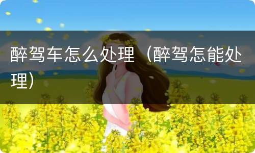 醉驾车怎么处理（醉驾怎能处理）