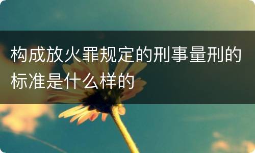 构成放火罪规定的刑事量刑的标准是什么样的