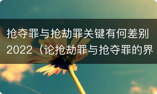 抢夺罪与抢劫罪关键有何差别2022（论抢劫罪与抢夺罪的界限）