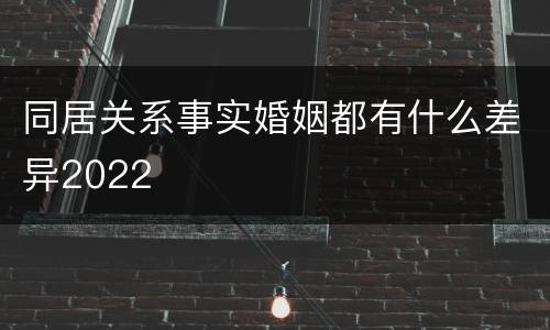 同居关系事实婚姻都有什么差异2022