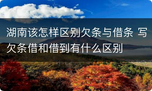 湖南该怎样区别欠条与借条 写欠条借和借到有什么区别