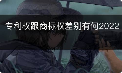 专利权跟商标权差别有何2022