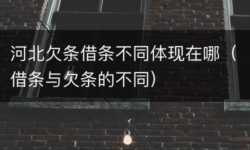 河北欠条借条不同体现在哪（借条与欠条的不同）