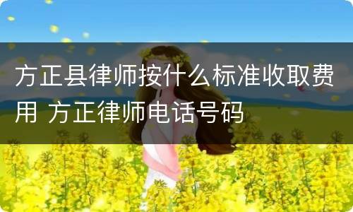 方正县律师按什么标准收取费用 方正律师电话号码