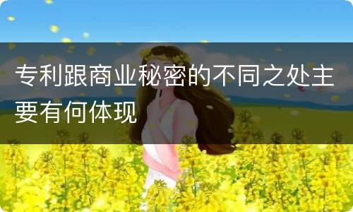 专利跟商业秘密的不同之处主要有何体现