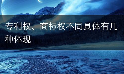 专利权、商标权不同具体有几种体现