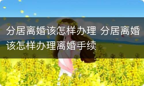 分居离婚该怎样办理 分居离婚该怎样办理离婚手续