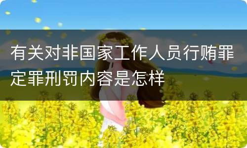 有关对非国家工作人员行贿罪定罪刑罚内容是怎样