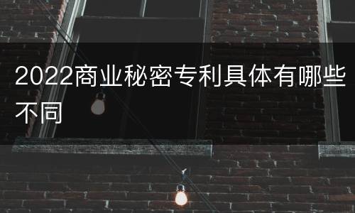 2022商业秘密专利具体有哪些不同