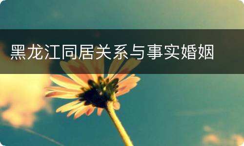 黑龙江同居关系与事实婚姻