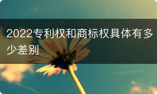 2022专利权和商标权具体有多少差别