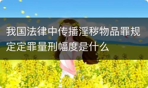 我国法律中传播淫秽物品罪规定定罪量刑幅度是什么