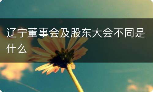 辽宁董事会及股东大会不同是什么