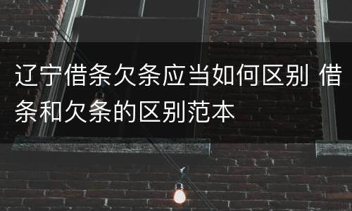 辽宁借条欠条应当如何区别 借条和欠条的区别范本