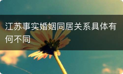 江苏事实婚姻同居关系具体有何不同