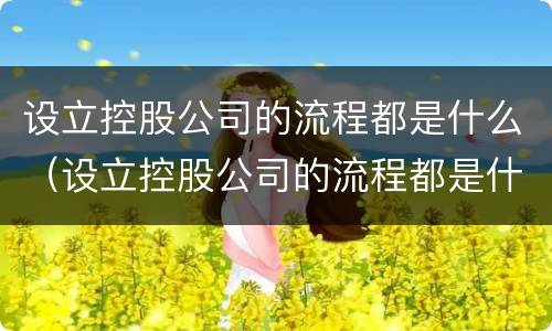 设立控股公司的流程都是什么（设立控股公司的流程都是什么内容）
