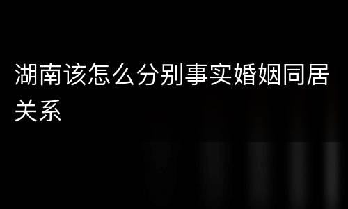 湖南该怎么分别事实婚姻同居关系