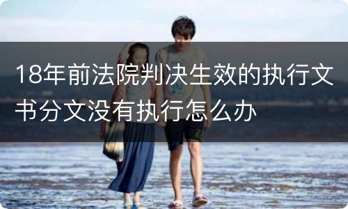 18年前法院判决生效的执行文书分文没有执行怎么办