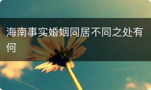 海南事实婚姻同居不同之处有何