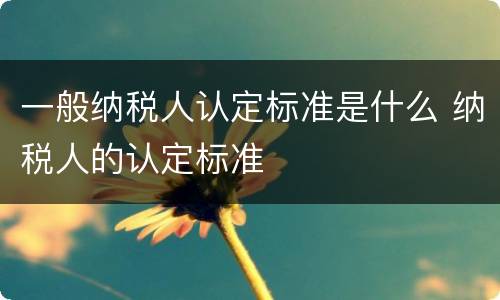 一般纳税人认定标准是什么 纳税人的认定标准