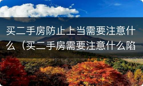 买二手房防止上当需要注意什么（买二手房需要注意什么陷阱）