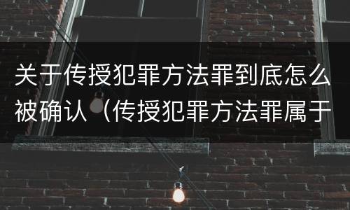 关于传授犯罪方法罪到底怎么被确认（传授犯罪方法罪属于什么罪）