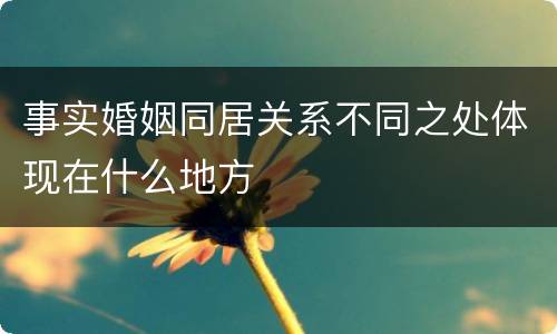 事实婚姻同居关系不同之处体现在什么地方