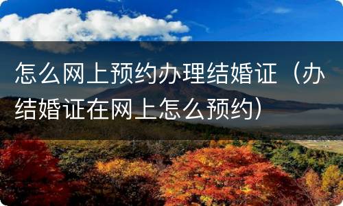 怎么网上预约办理结婚证（办结婚证在网上怎么预约）