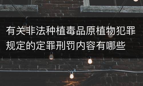 有关非法种植毒品原植物犯罪规定的定罪刑罚内容有哪些