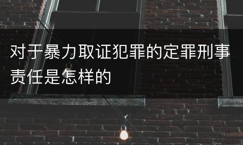 对于暴力取证犯罪的定罪刑事责任是怎样的