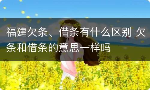 福建欠条、借条有什么区别 欠条和借条的意思一样吗