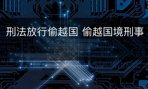 刑法放行偷越国 偷越国境刑事