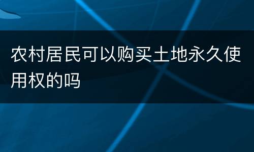 农村居民可以购买土地永久使用权的吗