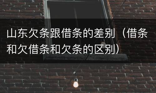 山东欠条跟借条的差别（借条和欠借条和欠条的区别）