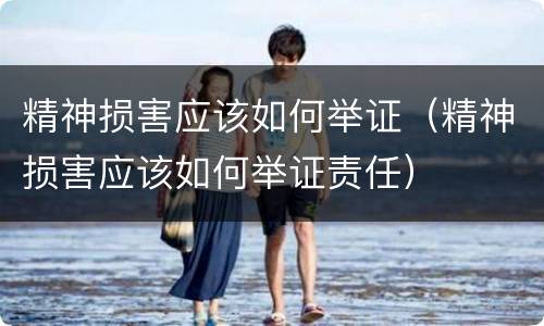 精神损害应该如何举证（精神损害应该如何举证责任）
