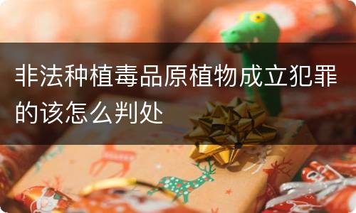 非法种植毒品原植物成立犯罪的该怎么判处