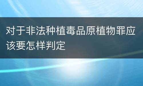 对于非法种植毒品原植物罪应该要怎样判定