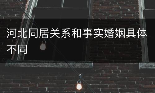 河北同居关系和事实婚姻具体不同